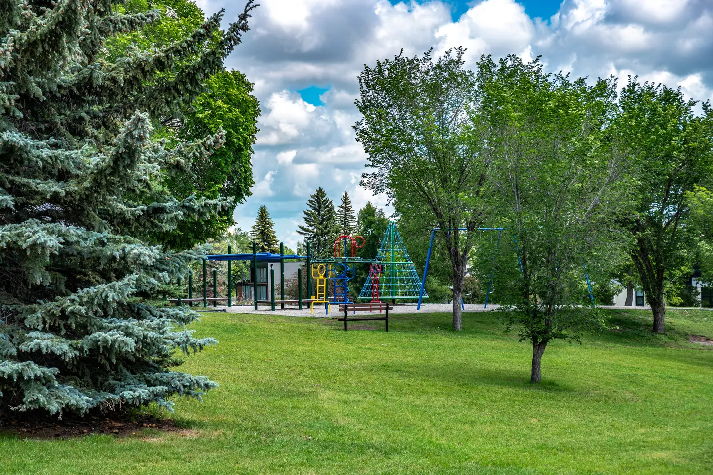A playground behind trees and open grass in the Britannia community photo collection