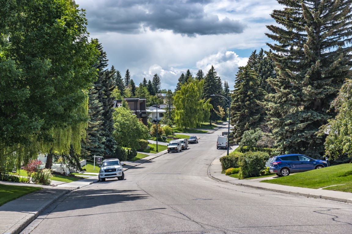 Tree-lined residential street in Britannia, Calgary