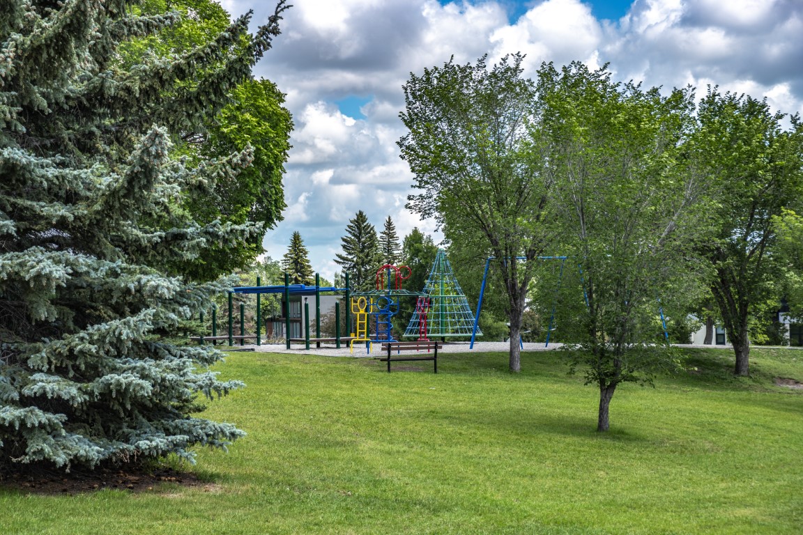Neighbourhood park space in Britannia